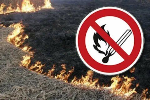 Выжигание сухой растительности запрещено!